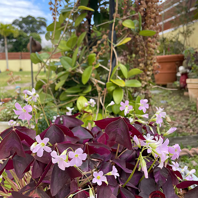 bu-bu-chanさんの部屋