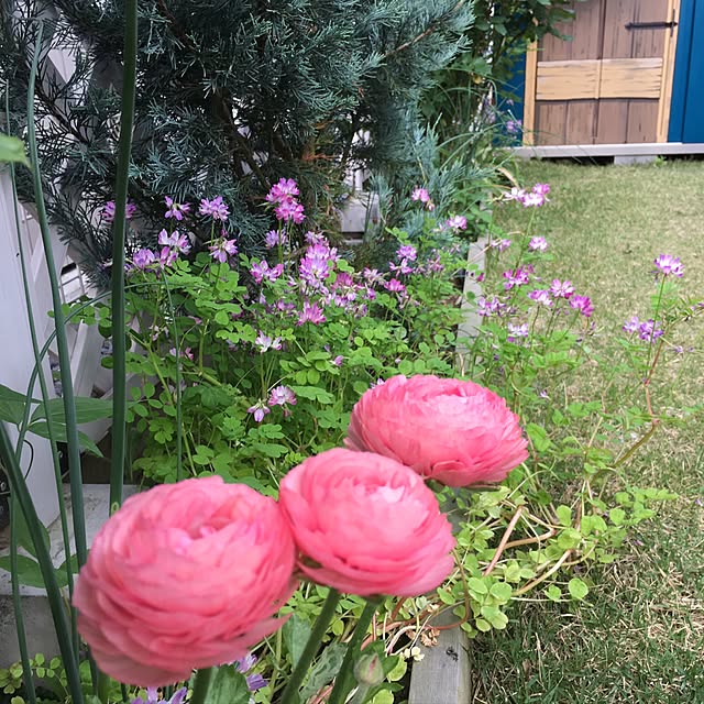 hirokoさんの実例写真