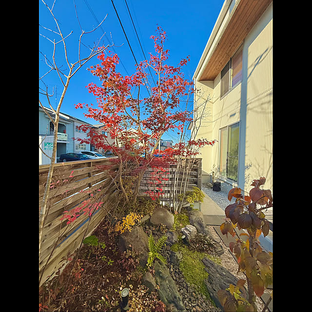 tamabaka1971さんの部屋