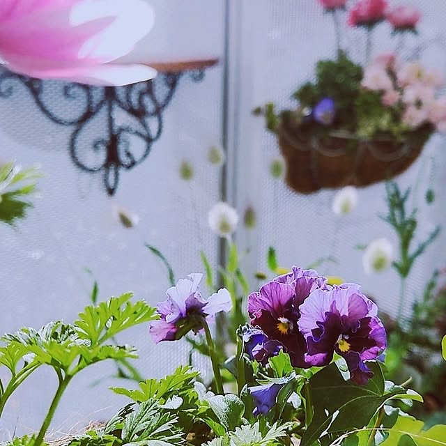 mana_iroさんの実例写真