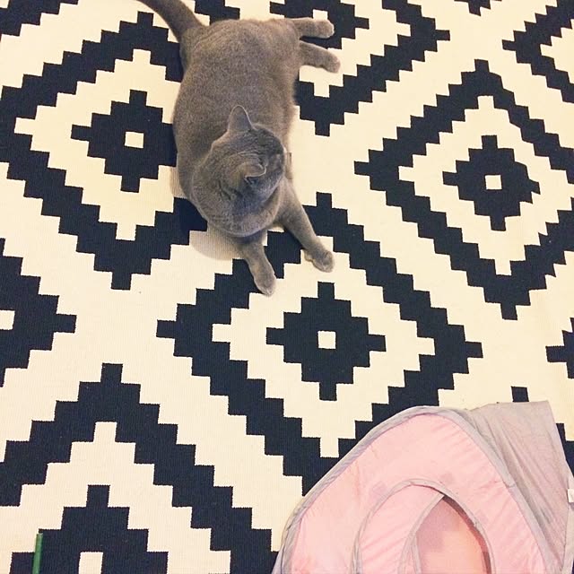 aさんの実例写真