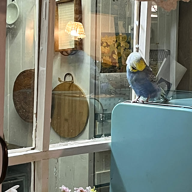 Atsukoさんの部屋