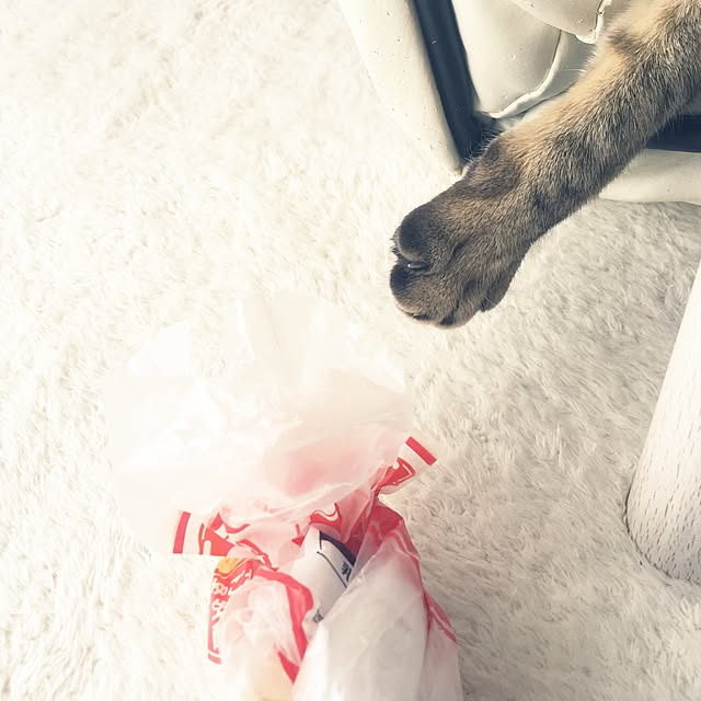 sayasさんの実例写真