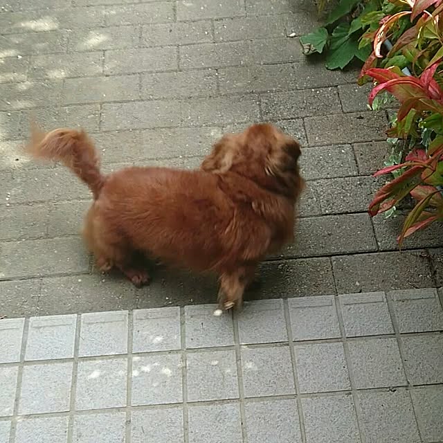 a....m.....さんの実例写真