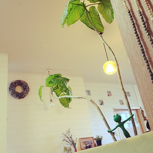botanさんの実例写真