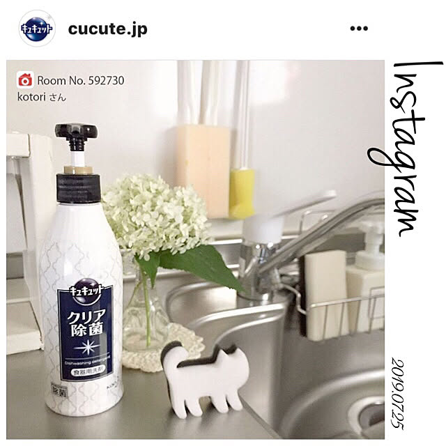 kotoriさんの実例写真