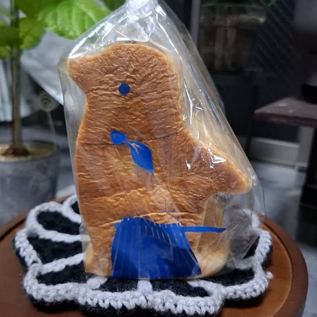 noaさんの部屋