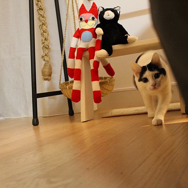 ktnさんの実例写真