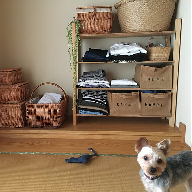 mayuoさんの実例写真
