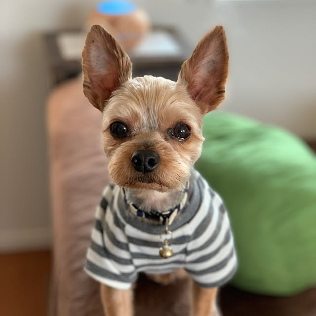 ruittanさんの実例写真