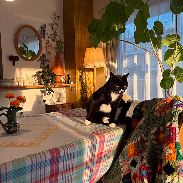 ochoriさんの部屋