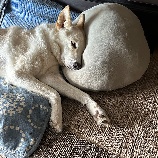 tanboさんの部屋