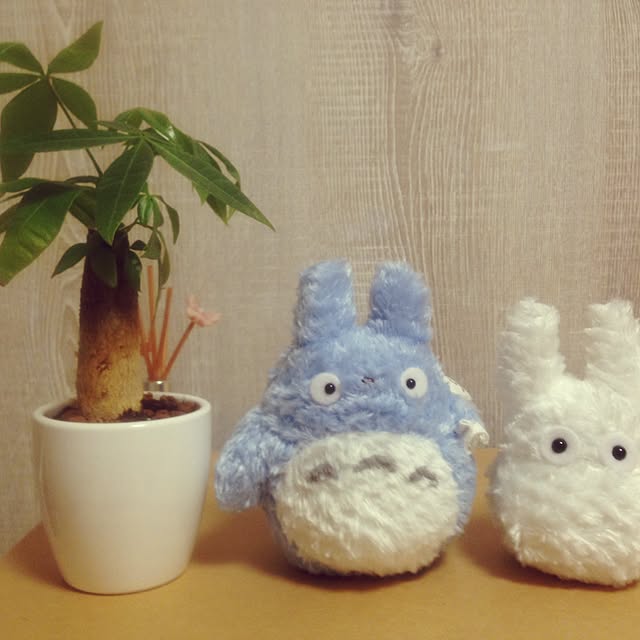 keityさんの実例写真