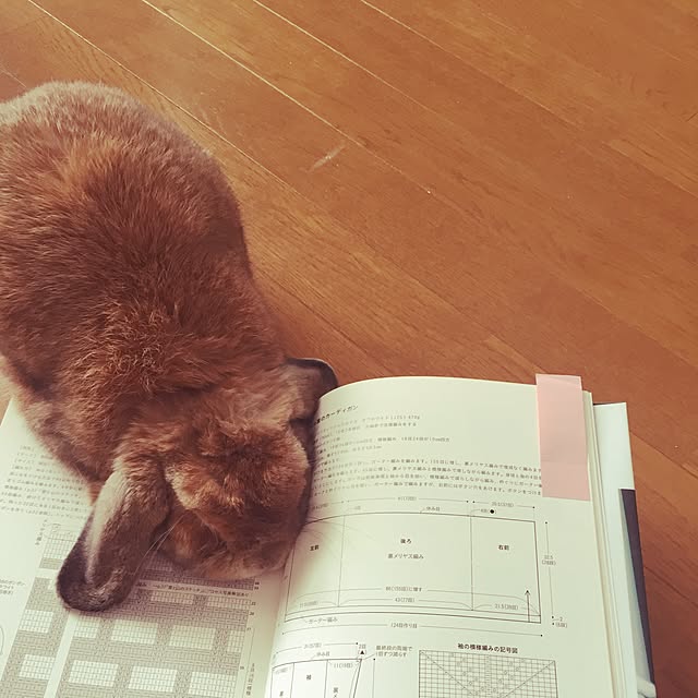 mimiさんの実例写真