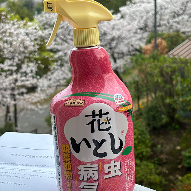 syutmmさんの部屋