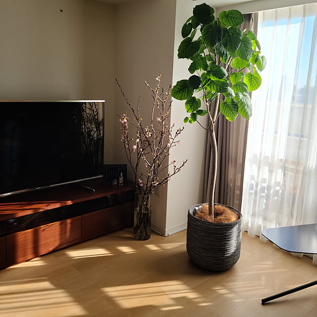 kyokoさんの実例写真
