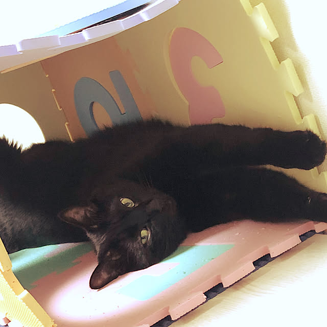 nyaさんの部屋