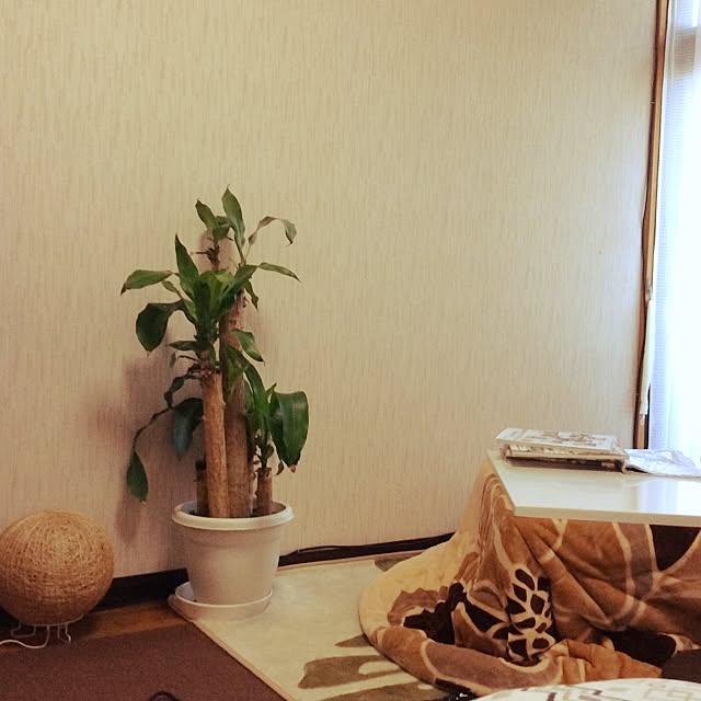 muwaさんの実例写真