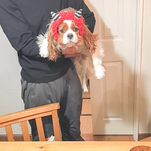 miyaさんの実例写真