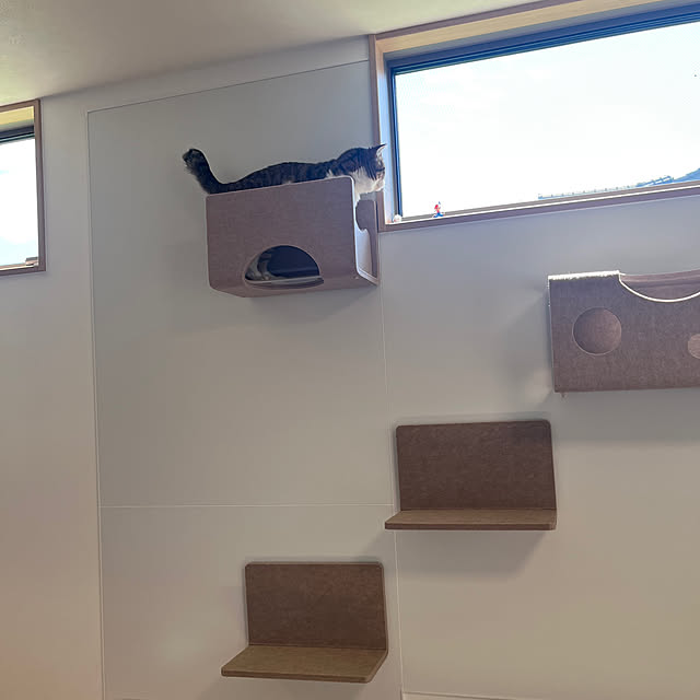 tiroさんの部屋