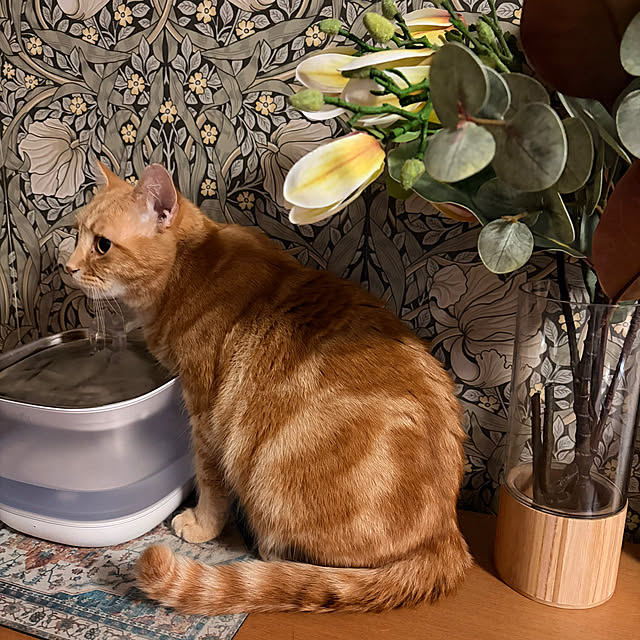 okogeさんの実例写真