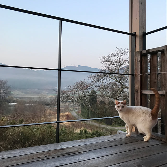 sakurasakuさんの実例写真