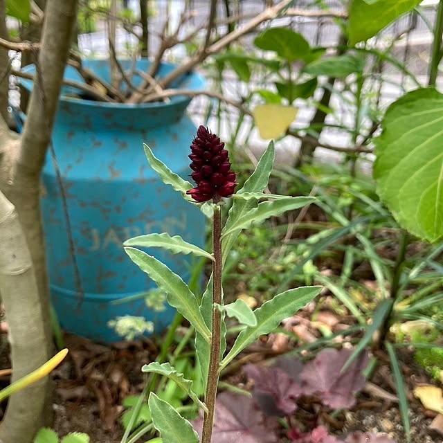 min_nimさんの実例写真
