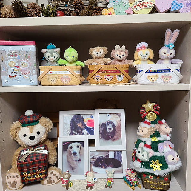 Luckyさんの実例写真