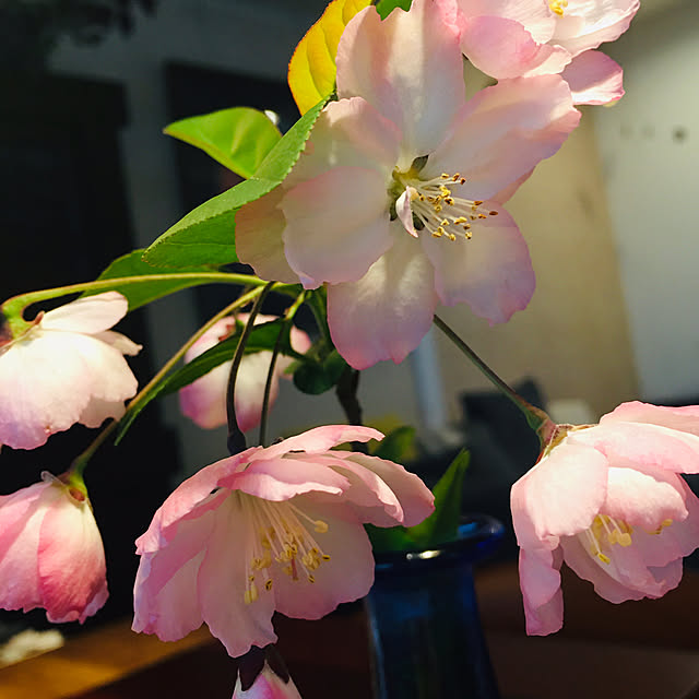 happy-sachiさんの実例写真