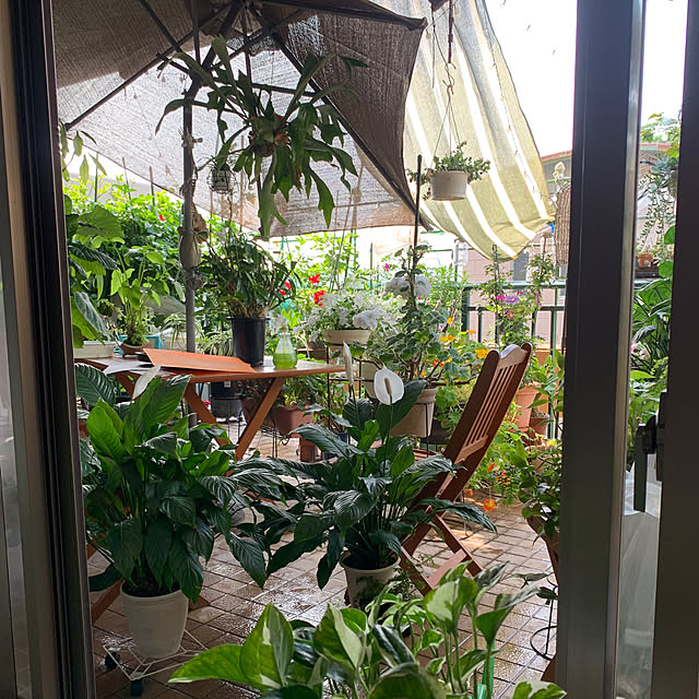 Aqettyさんの部屋