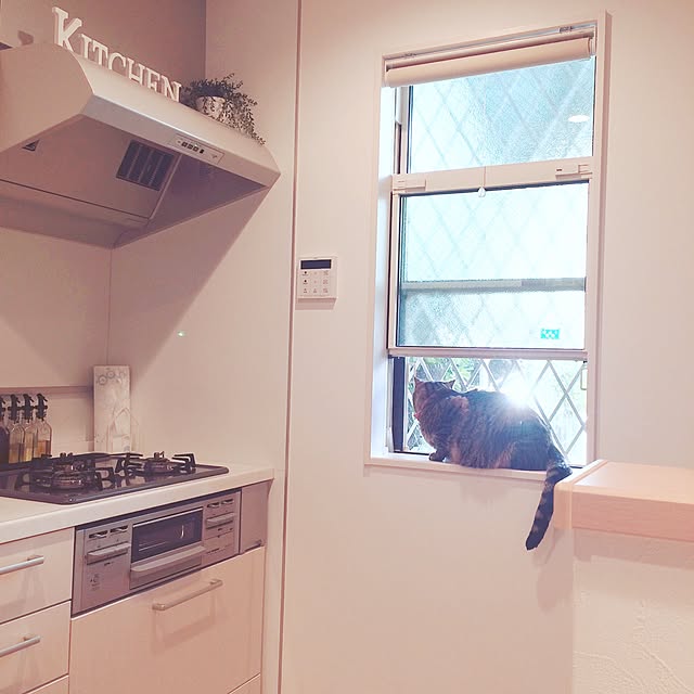 lovecatさんの実例写真