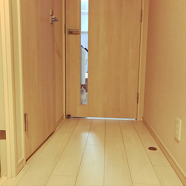 3122さんの実例写真