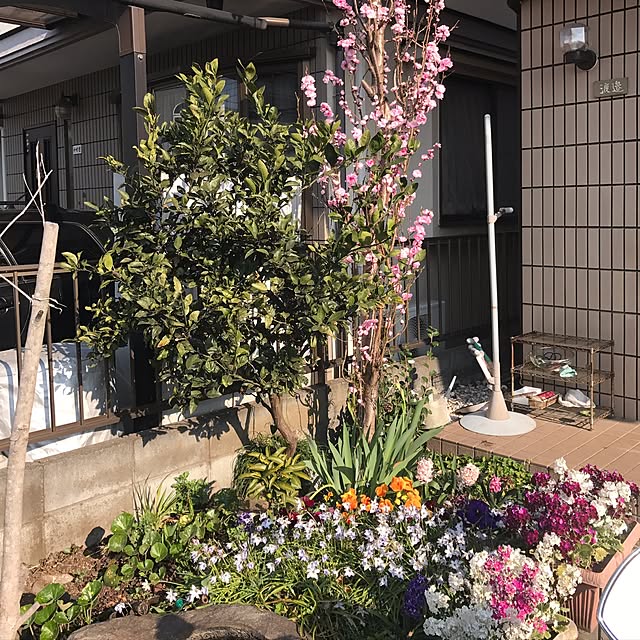 実例写真
