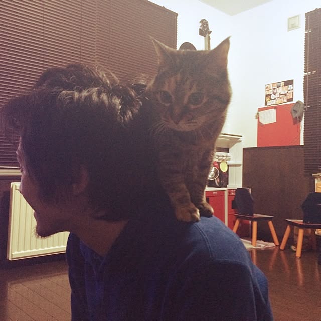 maiさんの実例写真