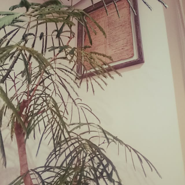 lampsさんの実例写真