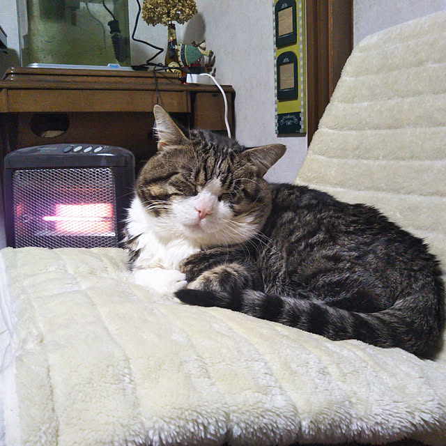 部屋全体のインテリア実例 - 2021-02-04 15:56:48