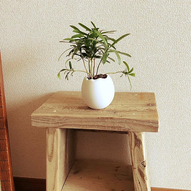 Cokiaさんの実例写真