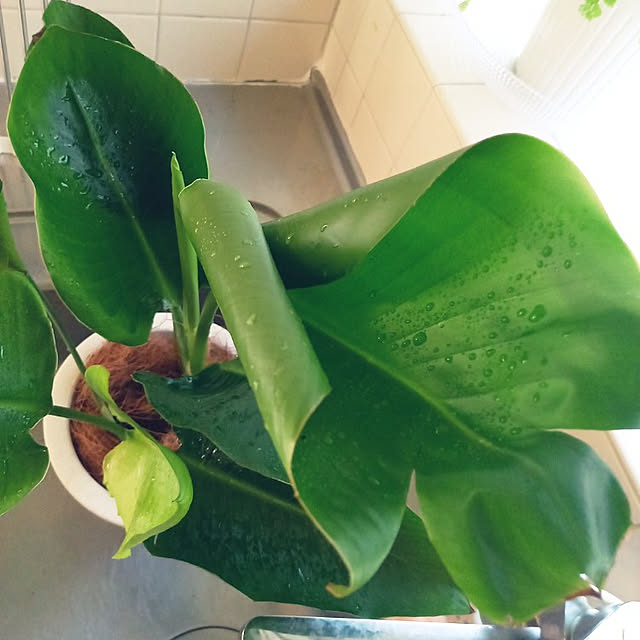 rhuさんの実例写真