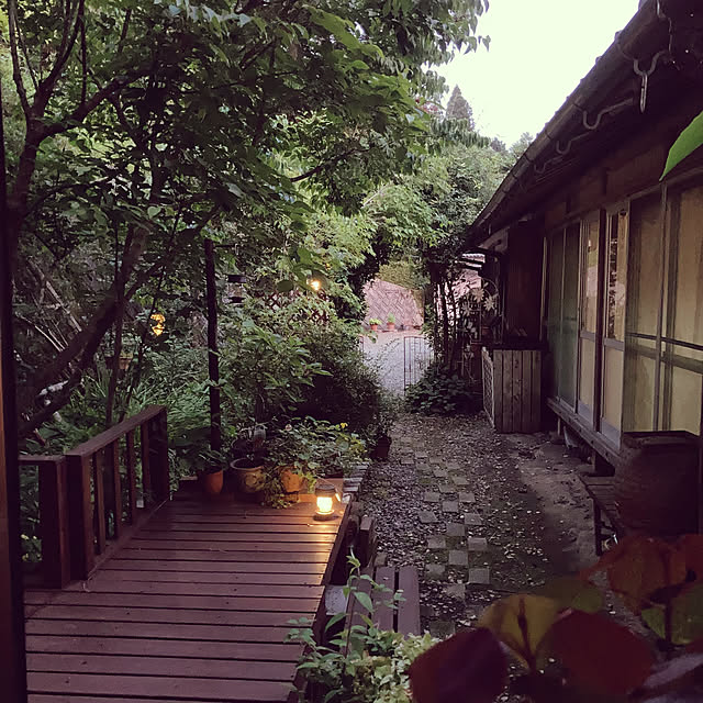 cota2さんの実例写真