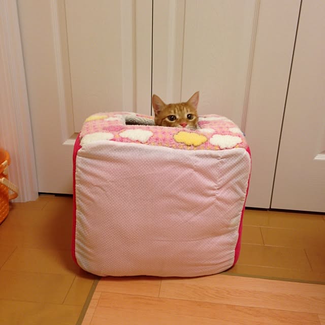 ohagiさんの実例写真