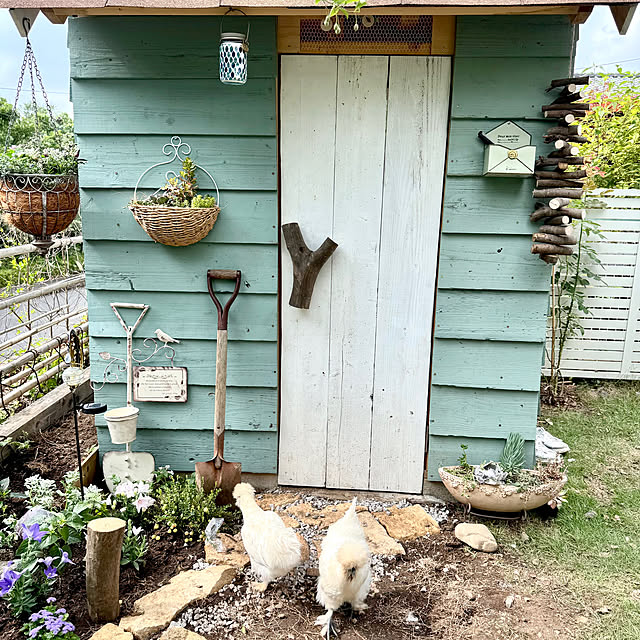 kayonekoさんの部屋