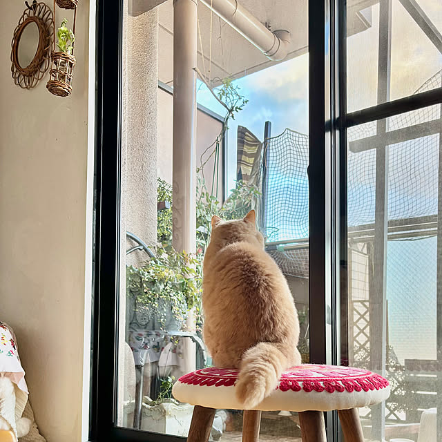 naokoさんの部屋