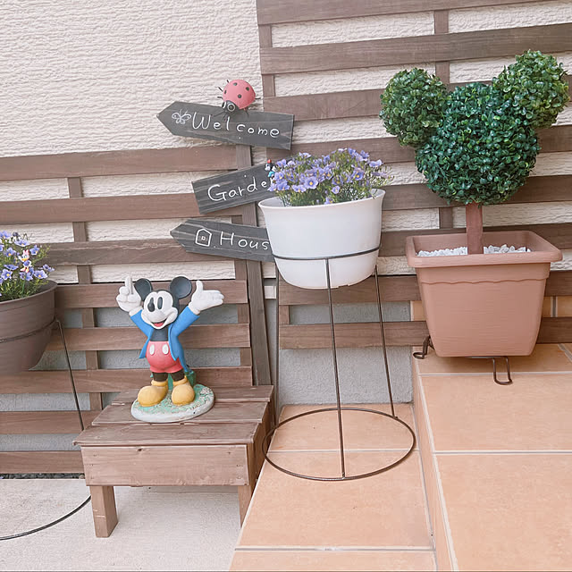disさんの実例写真