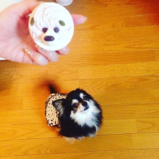 nanaさんの実例写真