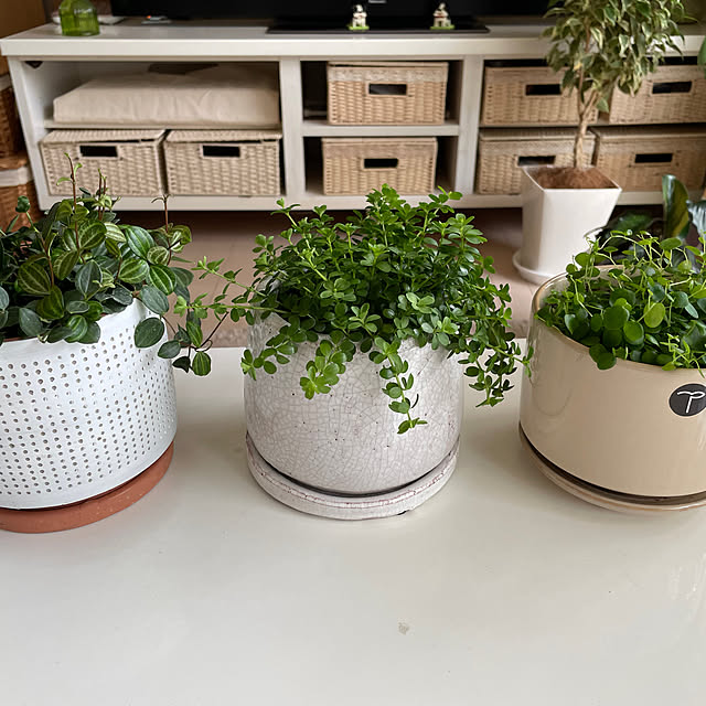 chinaさんの部屋