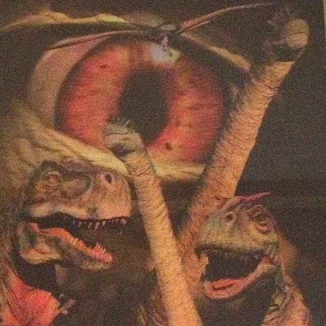 yokoさんの実例写真