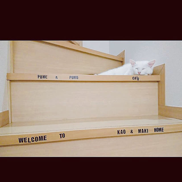 BWCATSさんの実例写真