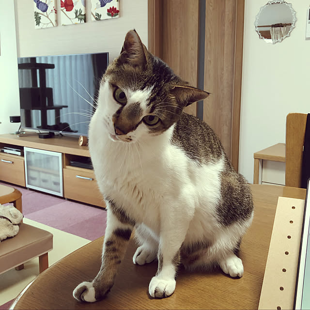 haruminさんの実例写真
