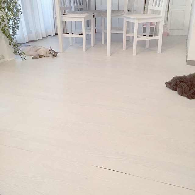 noelさんの実例写真