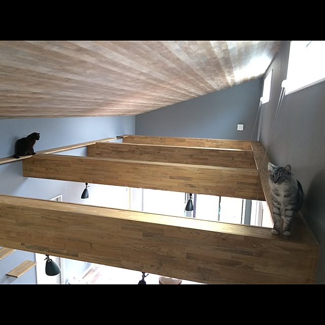 Makotoさんの実例写真